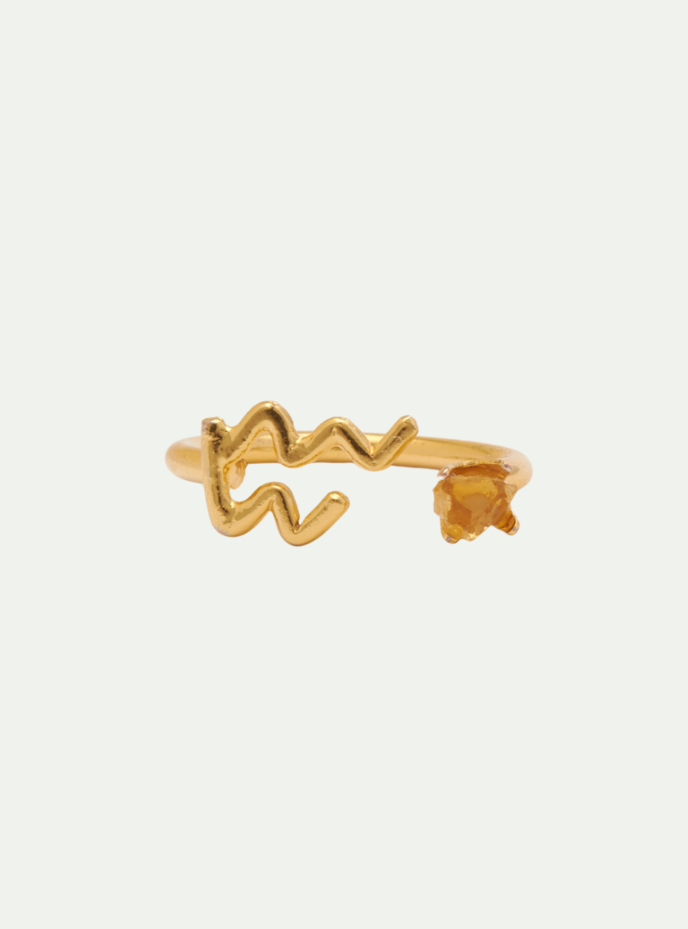 ANILLO ACUARIO