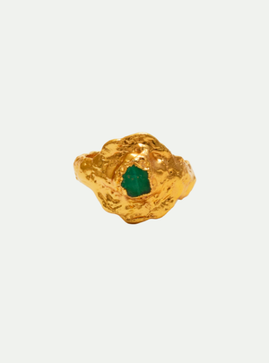 ANILLO FUJI